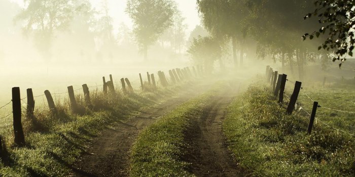 1920x1200 Morning Nature Desktop Wallpapers ~ Toptenpack.com | backgrounds