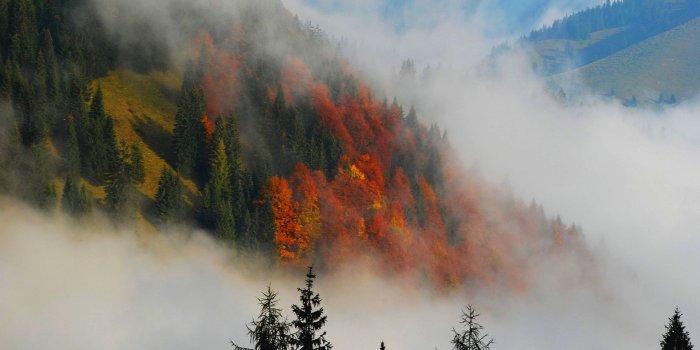 1920x1200 Beautiful Fog Wallpaper #6775067