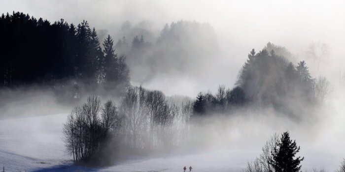 3840x2560 Foggy Forest Wallpaper Nature HD Free Download