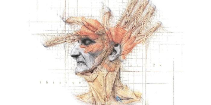 1920x1080 68+ Human Anatomy Wallpapers on WallpaperPlay