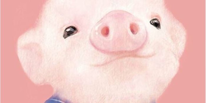 1536x2048 60+ Cute Pig Wallpapers - Download at WallpaperBro