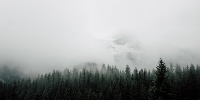 4509x3006 5259720 4509x3006 #alp, #minimal, #snow, #nebel, #outdoor