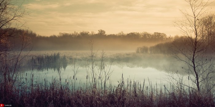 1920x1280 Download Landscapes Fog Wallpaper 1920x1280 Landscapes Fog Mist Pond