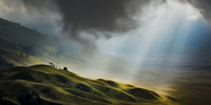 1920x1200 Forest, K, Wallpaper, Landscape, National, Free Background Images