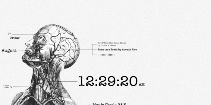 1366x768 Human Anatomy Wallpapers