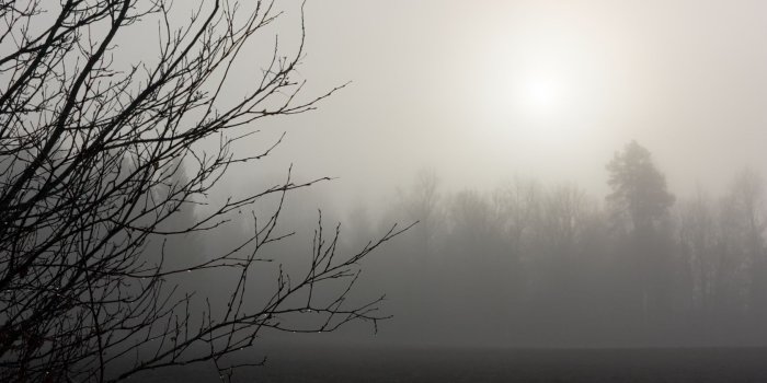 1680x1050 Fog wallpaper | 1680x1050 | #55145