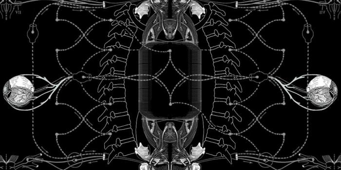 998x792 blog.xero.nu