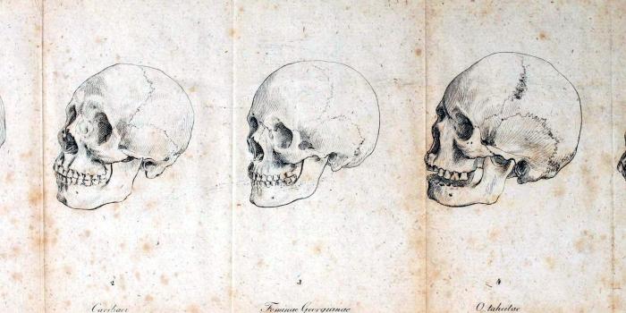 1920x1080 Wallpapers For Human Anatomy Wallpapers Desktop Desktop Background