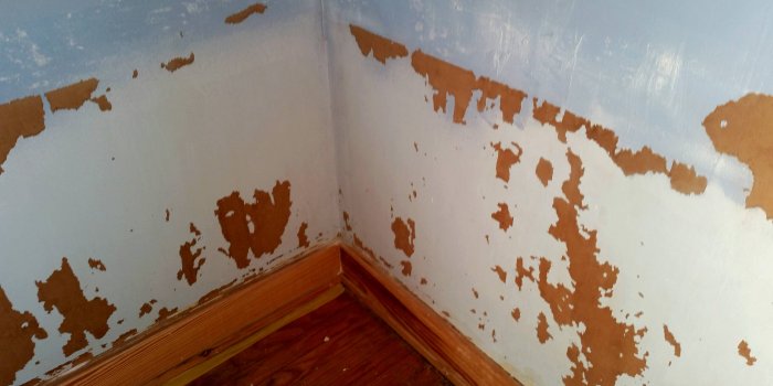 3771x2121 JUST ADD PAINT Project Profile: From Doom and Gloom to a Bright New
