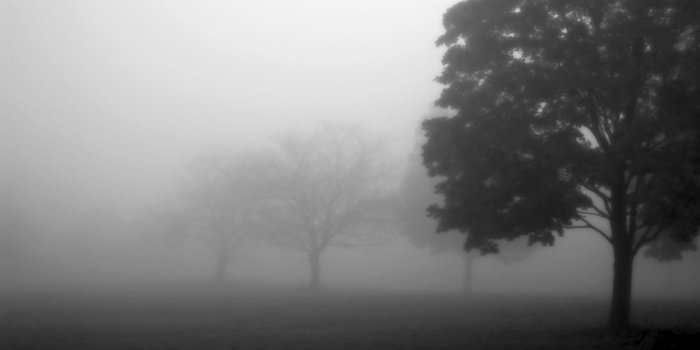 1920x1080 Free download Fog wallpaper ID:400429 hd 1920x1080 for computer