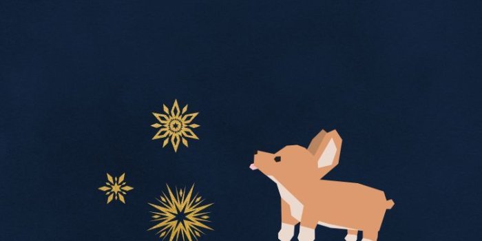 750x1334 Free desktop, tablet, and phone wallpapers. It's a Corgi's World