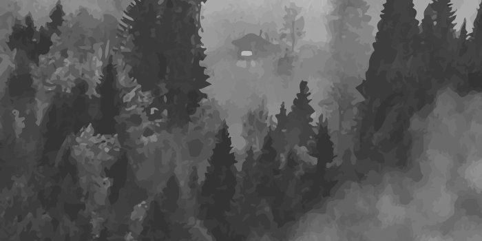3600x3600 Fog Forest Wallpaper, Foggy Hills Mural | anewall – Anewall