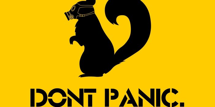 2560x1600 Nuclear, Funny Images,colourful, Squirrel, Horror, Free Abstracts