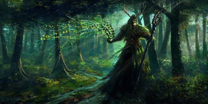 1920x1080 Elven Forest Wallpaper (74+ images)