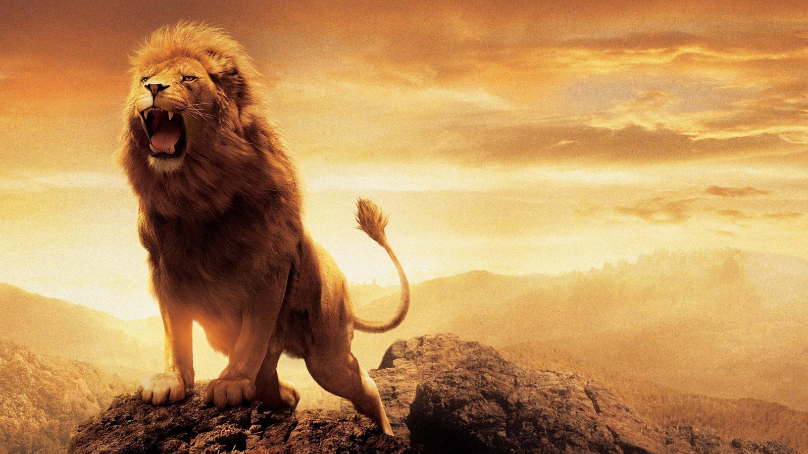 3840x2160 69+ Roaring Lion Wallpapers on WallpaperPlay
