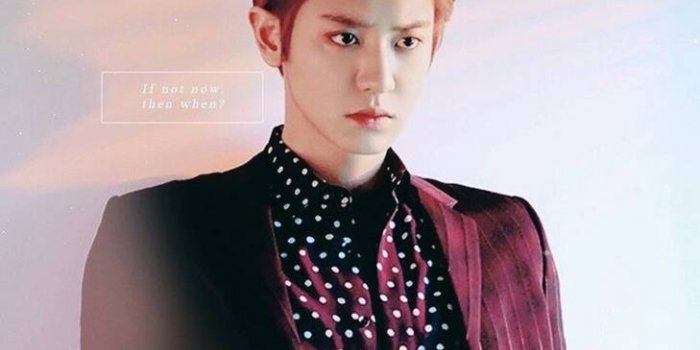 729x1280 Chanyeol Wallpaper by Amalia_vol - c5 - Free on ZEDGE™