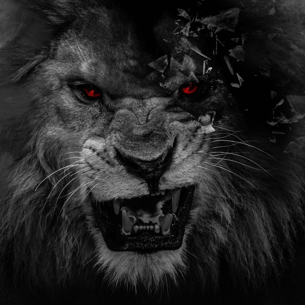1000x1000 3D Lion Wallpapers