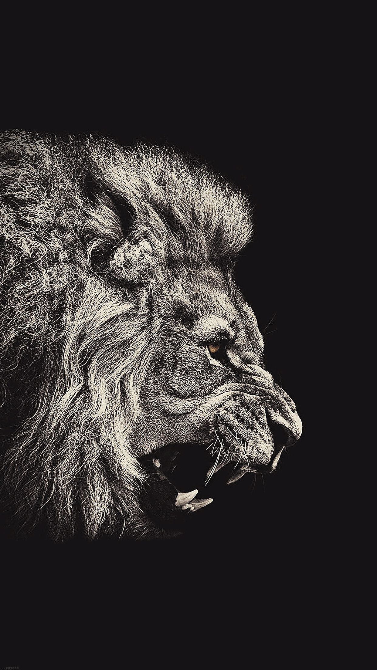 1242x2208 Lion Wallpaper Iphone 7 | 2019 3D iPhone Wallpaper