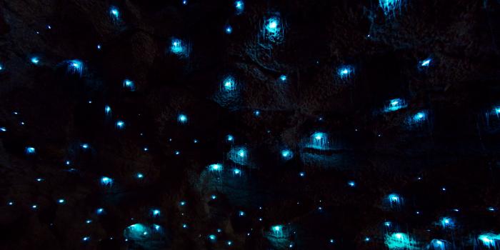 3840x2160 Glow worm cave HD Wallpapers