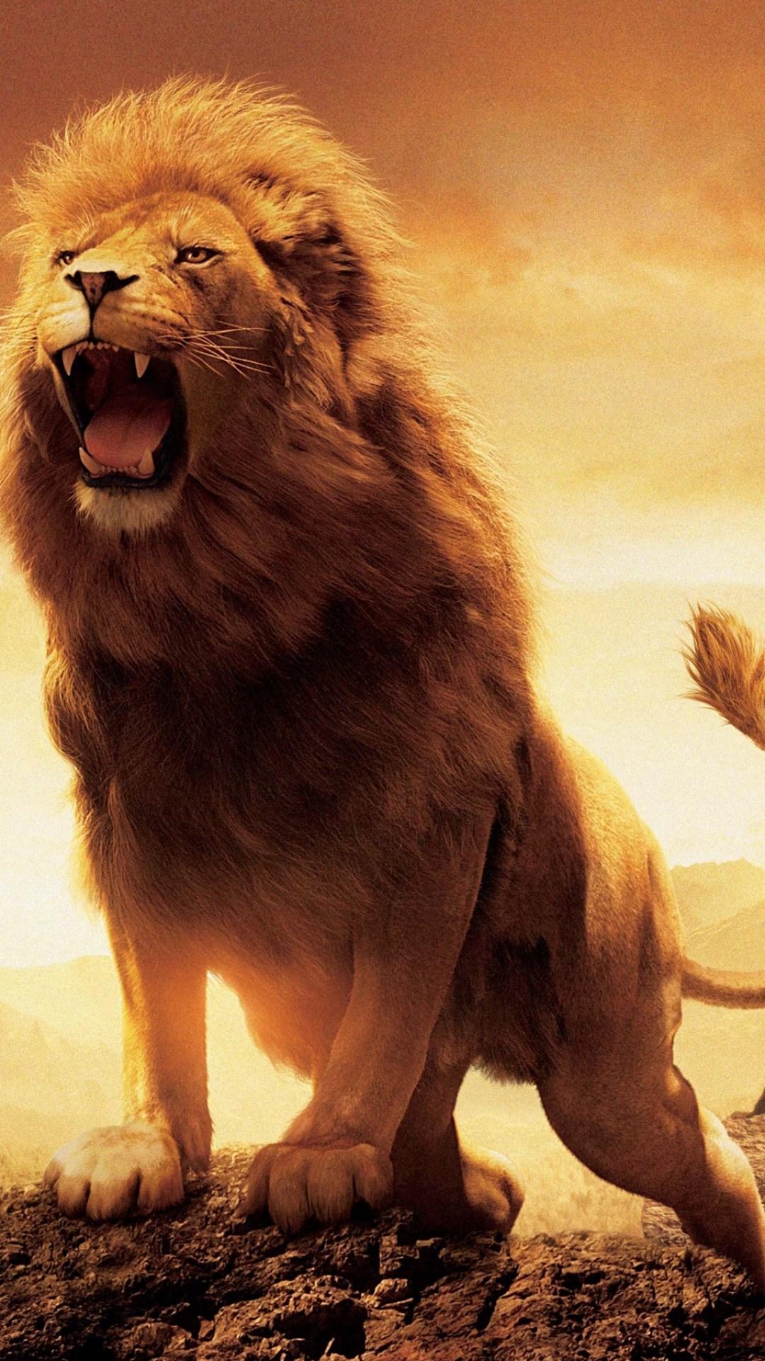 1080x1920 Lion Hd Wallpapers For Iphone - (59+) Wallpaper Collections