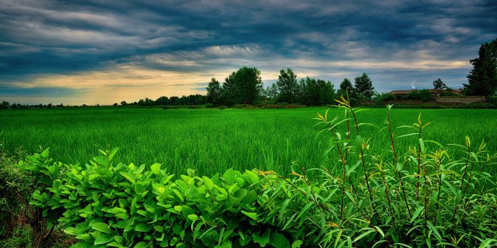 5120x3200 WallpapersWide.com ❤ Iran HD Desktop Wallpapers for 4K Ultra HD TV