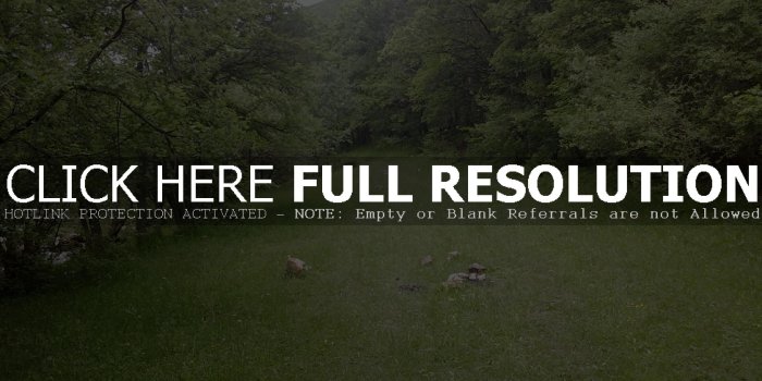 2048x1536 Arasbaran Forest In Iran wallpaper