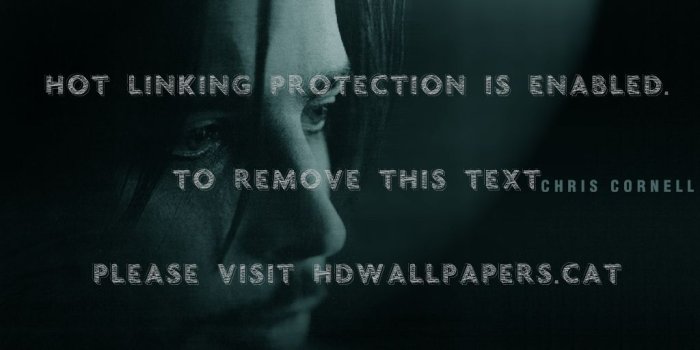 1024x768 chris cornell band audioslave temple of the