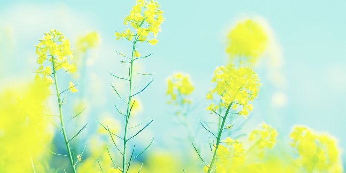 1920x1080 Bright wallpaper | 1920x1080 | #35830