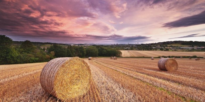 1920x1080 53+ Harvest Desktop Wallpapers on WallpaperPlay