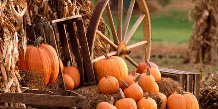 1600x1200 Harvest Wallpapers - Top Free Harvest Backgrounds - WallpaperAccess