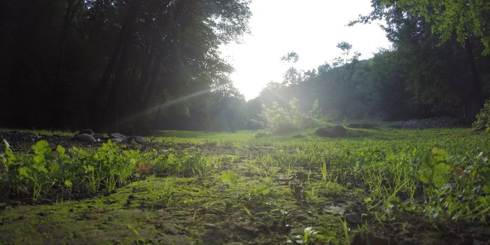 4000x3000 iran 4K wallpapers for your desktop or mobile screen free and easy