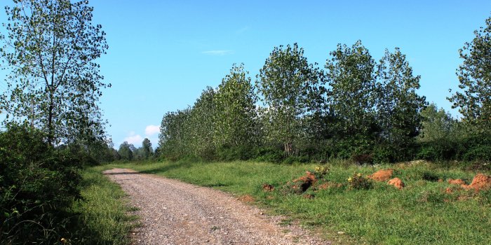 3840x2400 Download 4K Ultra HD 16:10 3840x2400 - Fooman, Gilan, Iran Wallpaper