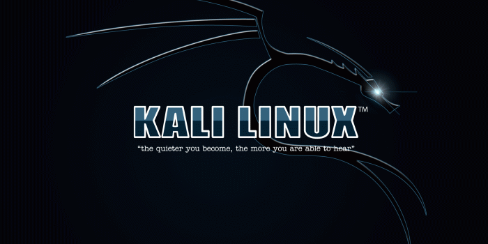 1920x1080 Kali Linux Wallpapers
