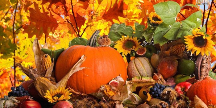 1366x768 Fall Harvest Wallpapers