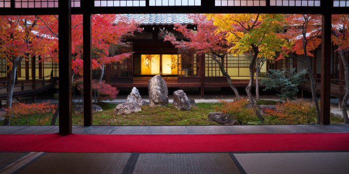4288x2848 Japan, trees, cityscapes, room, Kyoto, Asia, temple, autumn