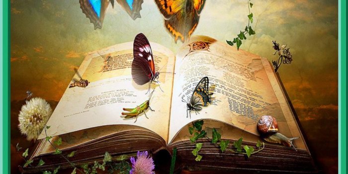 1366x768 The Book Of Knowledge Wallpaper and Background Image | 1366x768 | ID