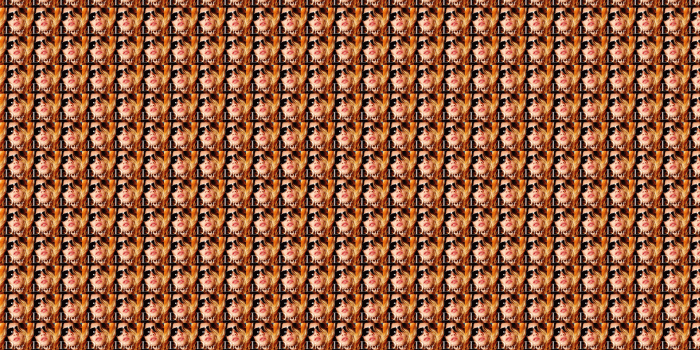 2560x1440 Dior Wallpapers