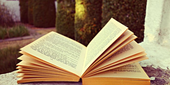 3840x2560 3081825 book, knowledge, letters, literature, pages, papers, text