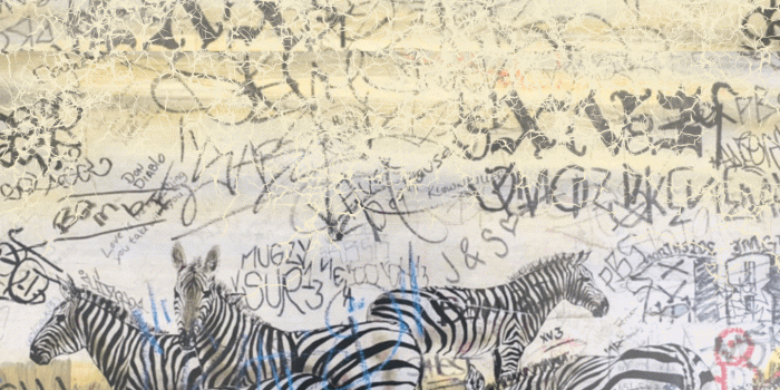 1440x3038 Bandana Director's Cut wallpaper : freddiegibbs