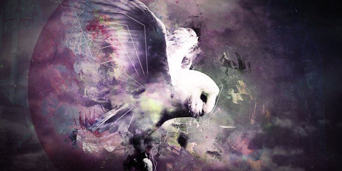 1920x1080 Knowledge Wallpapers (57+ background pictures)