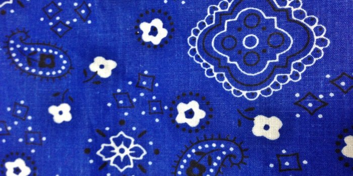 1600x1200 2419 blue bandana wallpaper