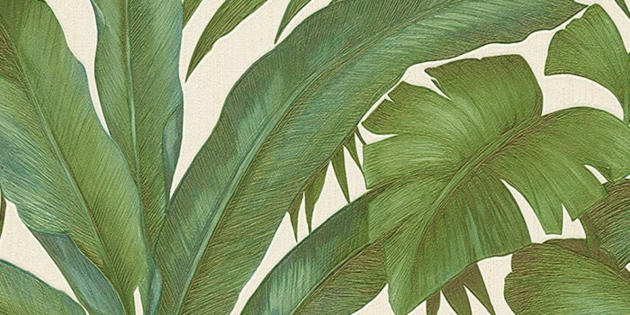 1000x1000 Versace Giungla Banana Palm Leaves Wallpaper | Green and Cream