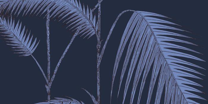 1440x1920 Cole & Son Palm Leaves Wallpaper, 112/2008