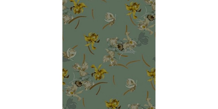 1663x1663 Wall & Deco Ballet Contemporary Wallpaper - TattaHome