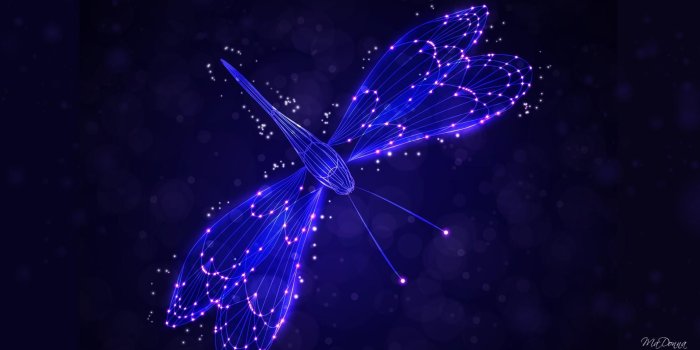 1920x1080 Dragonfly Wallpapers >> Backgrounds with quality HD | Butterflies