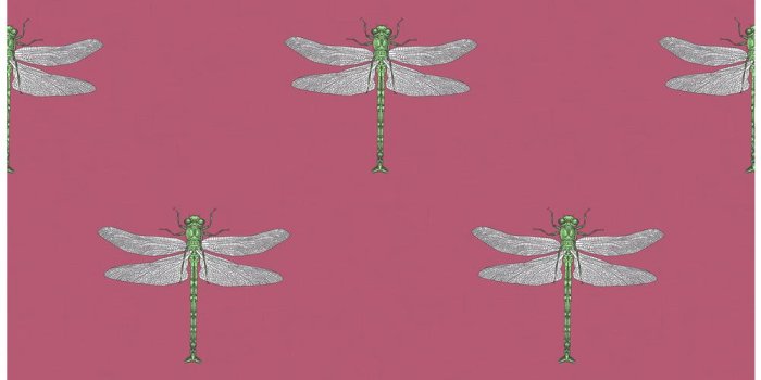 1000x1000 Catalina Metallic Green and Pink Dragonfly Wallpaper