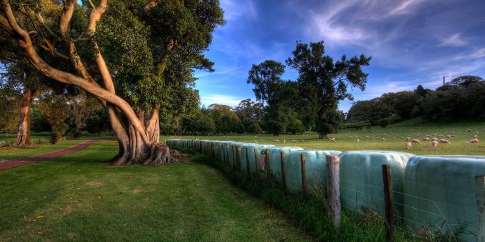 1600x1000 Ultra HD Wallpapers 16K Resolution PU #10847 Wallpaper | Ops Style