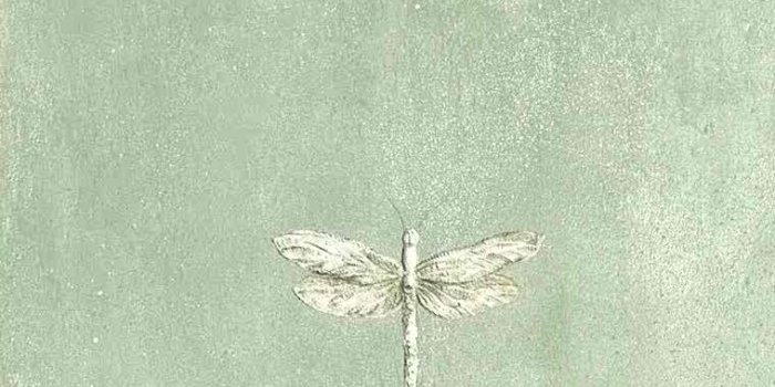 759x1182 Eddie Bauer Dragonflies Wallpaper Green Gray 30943050 D/Rs
