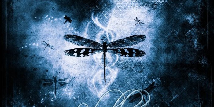 1024x768 49+] Dragonfly Wallpaper for Desktop on WallpaperSafari