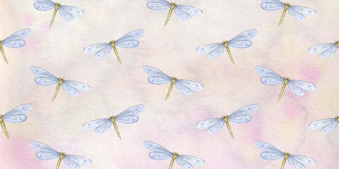 1920x1280 Dragonfly,dragonflies,background,nature,wallpaper - free photo from